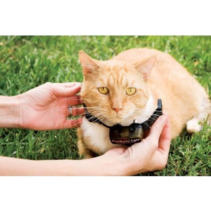 PetSafe - Collier supplémentaire pour clôture anti-fugu chat, 4 niveaux de stimulation, léger, réglable et anti-étranglement, a Pile