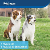 PetSafe - Clôture Anti-fugue Sans Fil Portable et électrique pour Chien Stay & Play avec Collier Anti-Fugue, Rechargeable,Portée 64m