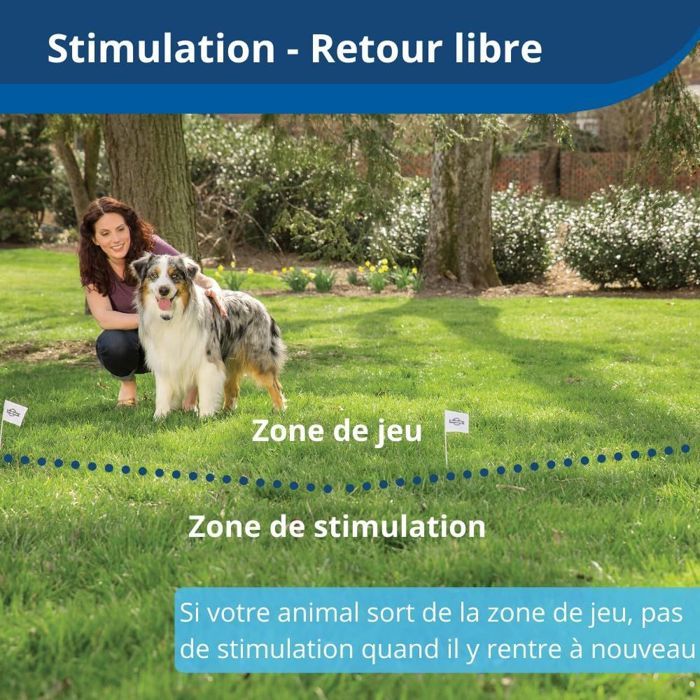 PetSafe - Clôture Anti-fugue Sans Fil Portable et électrique pour Chien Stay & Play avec Collier Anti-Fugue, Rechargeable,Portée 64m
