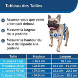 PetSafe - Chatiere Staywell Résistante en Aluminium pour gros Chien , avec Systeme de Verrouillage, Robuste, Isolante - taille XL