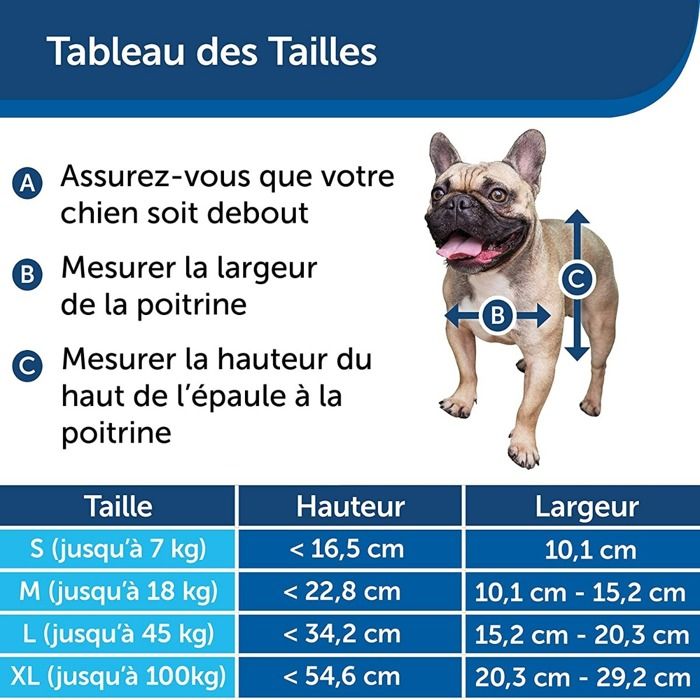 PetSafe - Chatiere Staywell Résistante en Aluminium pour gros Chien , avec Systeme de Verrouillage, Robuste, Isolante - taille XL