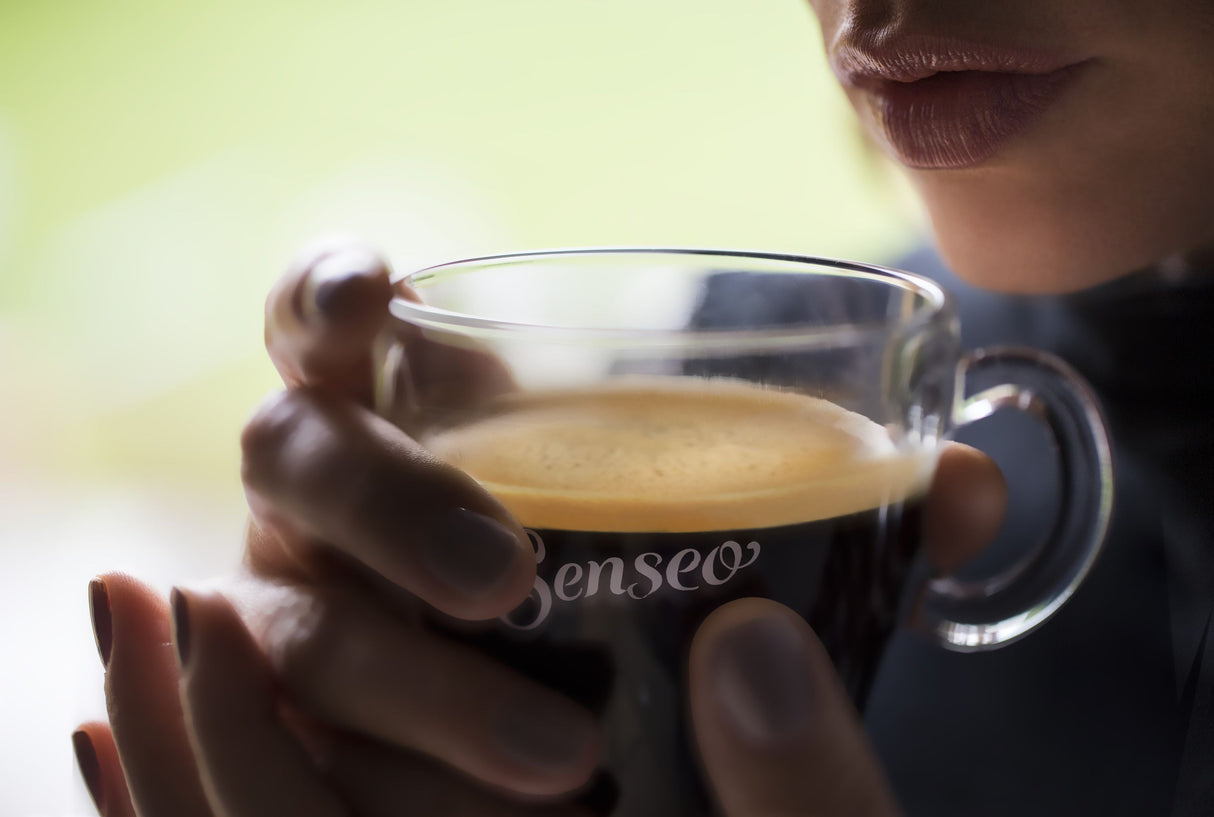 Détartrant - PHILIPS - Senseo - CA6520 - 250ml