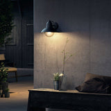 Lampe murale - PHILIPS - Hoverfly - Noir - IP44