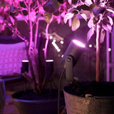 Lot de 3 spots de jardin - PHILIPS HUE - Lily - Noir - IP67