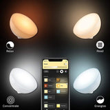 Lampe portable connectée Philips Hue Go White and Color - Compatible Bluetooth - Alexa, Google et Apple Homekit