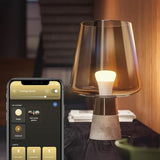 Lot de 2 ampoules LED connectée - PHILIPS HUE White - 929002469205 - E27 - Equivalent 75 W - 1100 lumens - Bluetooth