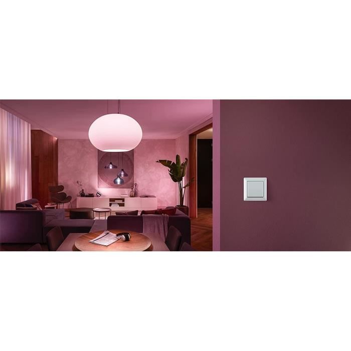 Module d'interrupteur mural Philips Hue - Blanc - Compatible Alexa, Google Assistant et Apple Homekit
