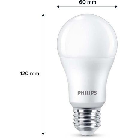 Ampoule LED - PHILIPS - 100 W - A67 E27 - Blanc froid - Non dimmable x 3
