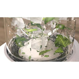 Blender PHILIPS - HR2500/00 Pro Blend - 350 W - bol 0,6 L sans BPA - Blanc Soyeux Mat