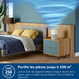 Purificateur d'Air - PHILIPS - AC0920/10 - 250 m³/h - 65 m² - Blanc