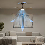 Ventilateur de plafond - Philips - Olas - Pales fixes - Diametre 106 cm - Noir/Bois - LED intégrée + télécommande