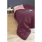 CALGARY - Couette Chaude Microfibre 400gr/m˛ - Prune & Parme - 240 x 260 cm