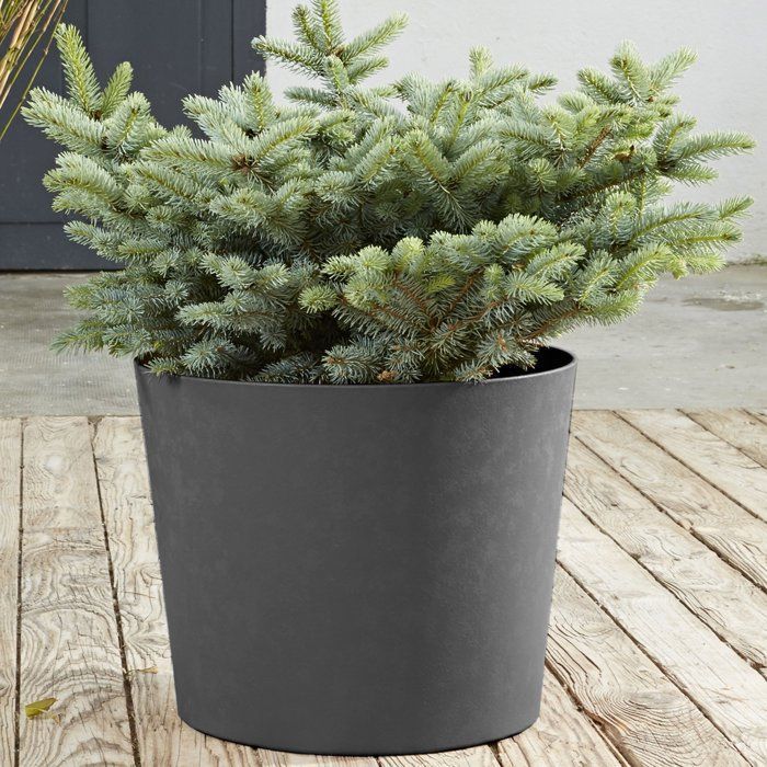 Pot de fleurs Conique Ø 40 cm - EDA - Element - 30 L - Intérieur / Extérieur - Ø 39,1 x H. 32 cm - Gris Anthracite