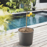 Pot de fleurs Conique Ø 50 cm - EDA - Element - 62,2 L - Intérieur / Extérieur - Ø 49,5 x H. 42 cm - Gris Anthracite