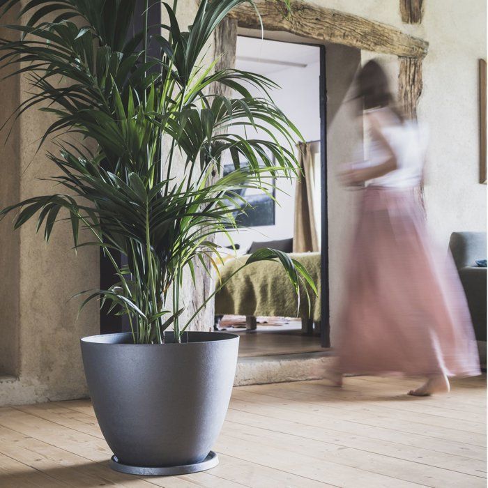 Pot de fleurs Rond Ø 40 cm - EDA - Element - 26,2 L - Intérieur / Extérieur - Ø 39,4 x H. 31,6 cm - Gris Anthracite