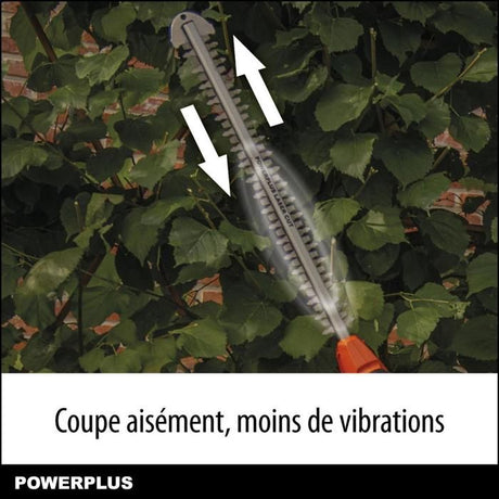 Powerplus Dual Power Taille-Haie Batterie POWDPG75380 - 40 V, sans Batterie ni Chargeur, Lame de 600 mm, Écart de 20 mm