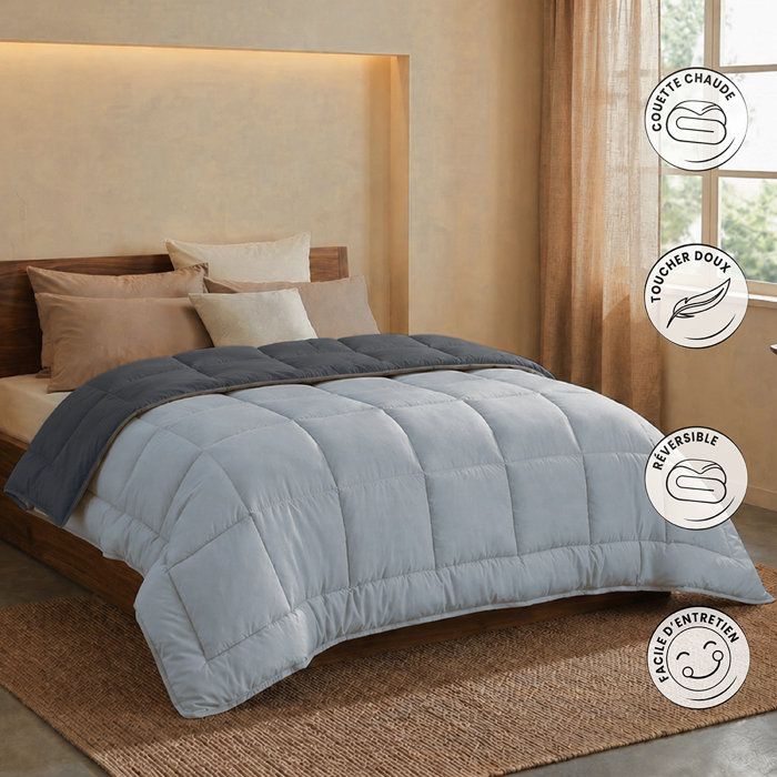 HUDSON - Couette Légere Microfibre - 200gr/m2 - Gris & Argent - 220 x 240 cm