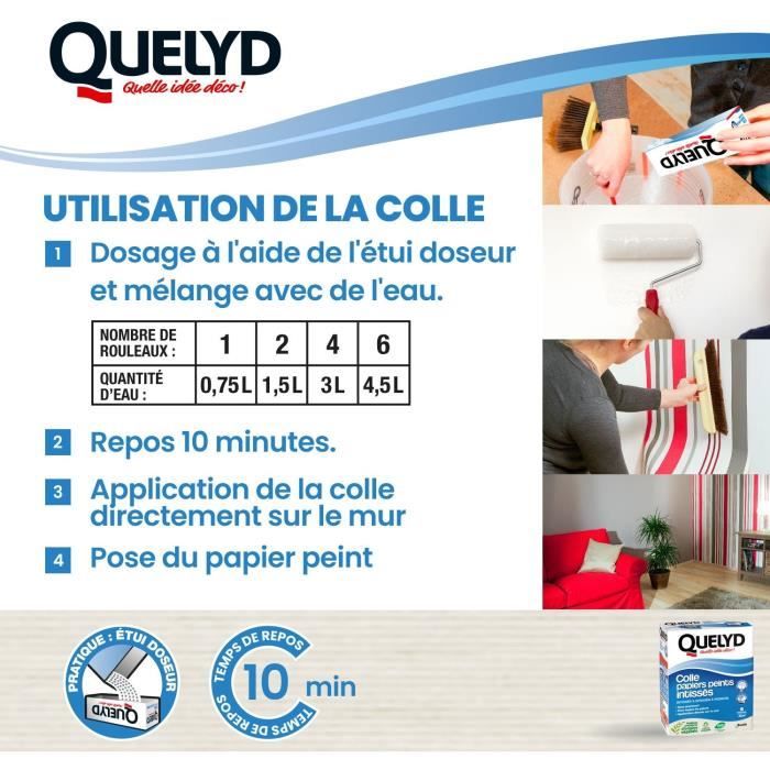 Colle papiers peints - QUELYD - Intissés en poudre - Toutes pieces - Application murale - Étui doseur 300 g