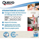 Colle papiers peints - QUELYD - Intissés en poudre - Toutes pieces - Application murale - Étui doseur 300 g