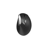 Souris sans fil - RAPOO - EV250 - Ergonomique - 1600 DPI - Clic silencieux