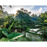 Puzzle 2000 pieces Au coeur de Bali, Adultes et enfants des 14 ans, Collection Évasion, 12001518, Nathan