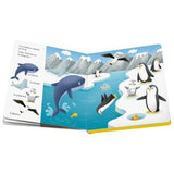 Ravensburger play+, Chut...qui est la ? Les bÈbÈs animaux, Livre, Premier ‚ge, bÈbÈ