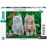 Nathan - Puzzle 2000 pieces - Chatons Sibériens -des 14 ans - Puzzle de qualité supérieure - Collection Tendresse - 12001868