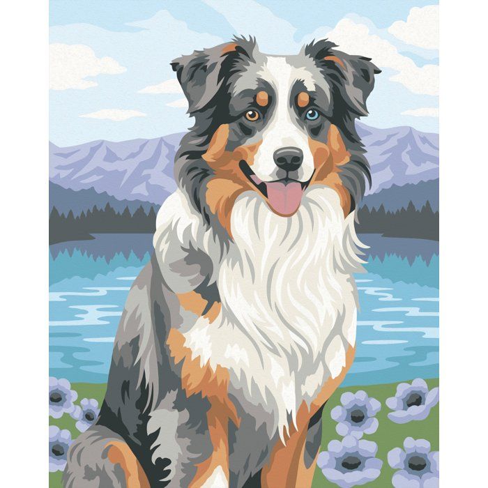 Ravensburger – CreArt 24x30 cm – Adulte – Peinture par numéros – Berger Australien – Loisir créatif – 12023114
