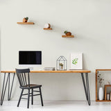 Peinture Intérieure - Blanc Champagny - 2,5L - Velours - Haute Opacité - Lessivable