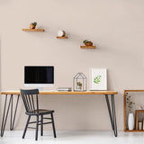 Peinture Intérieure - Café au Lait - 2,5L - Velours - Haute Opacité - Lessivable