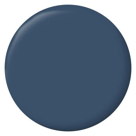 Peinture Intérieure - Ripolin - Bleu de Béring - 2,5L - Velours - Haute Opacité