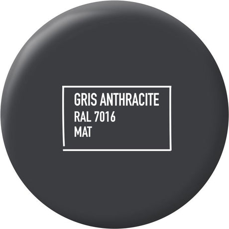 Peinture multi-supports - Gris anthracite - RAL 7016 - Mat - Ripolin - 2L