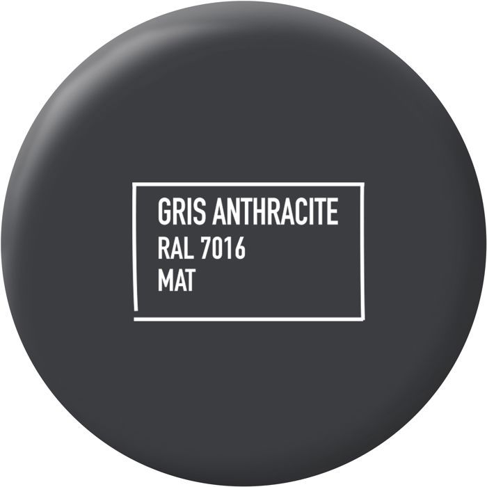 Peinture multi-supports - Gris anthracite - RAL 7016 - Mat - Ripolin - 2L
