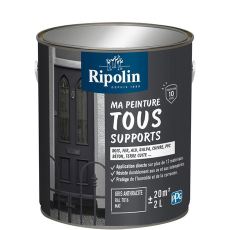 Peinture multi-supports - Gris anthracite - RAL 7016 - Mat - Ripolin - 2L