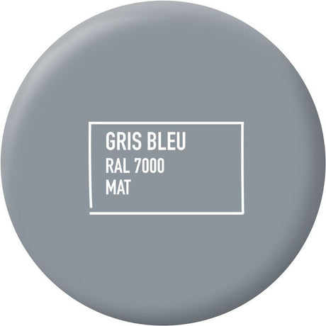 Peinture multi-supports - Gris bleu - RAL 7000 - Mat - Ripolin - 2L