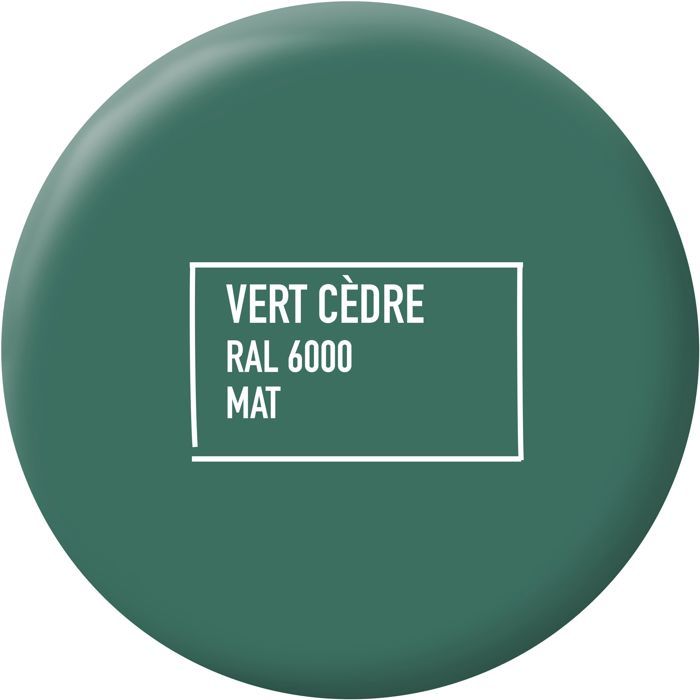 Peinture multi-supports - Vert cedre - RAL 6000 - Mat - Ripolin - 2L