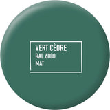 Peinture multi-supports - Vert cedre - RAL 6000 - Mat - Ripolin - 2L
