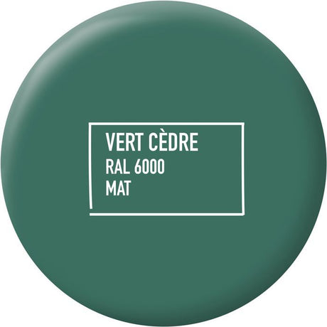 Peinture multi-supports - Vert cedre - RAL 6000 - Mat - Ripolin - 2L
