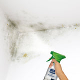 Anti-Moisissure - Incolore - Ripolin - 0,5L