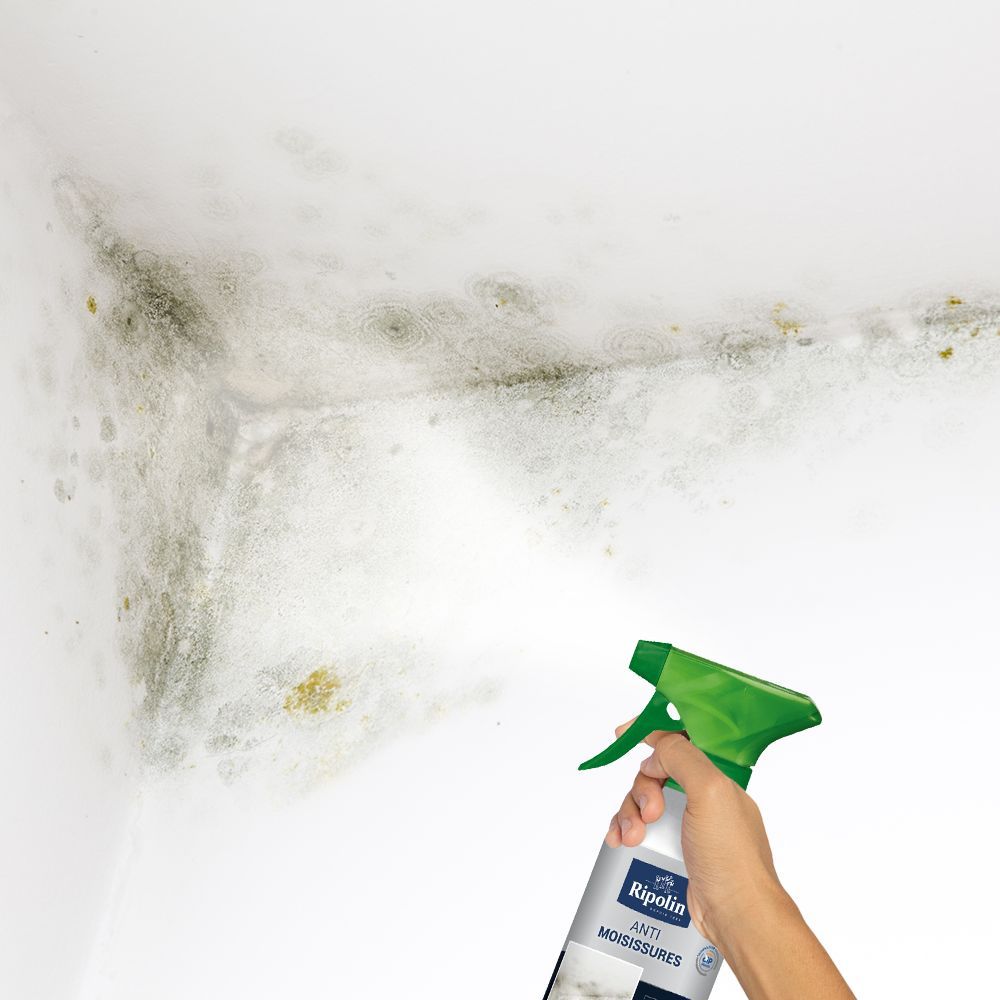 Anti-Moisissure - Incolore - Ripolin - 0,5L