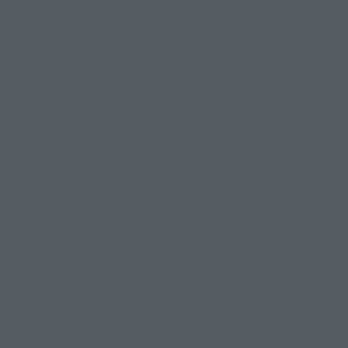 Peinture fer - RIPOLIN - 7016 - Gris Anthracite - Brillant - 2L