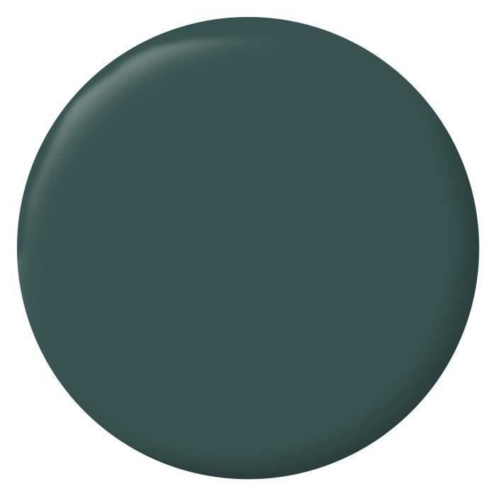 RIPOLIN Peinture Couleur Velours pour Murs, Boiseries Radiateurs - Vert Armerie