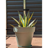 Pot de fleurs rond - RIVIERA - SOLEILLA - Plastique - D49 x H45 cm - Vert argile