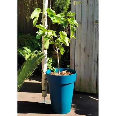 Pot de fleurs - RIVIERA - SOLEILLA - Plastique - H52 x D39 cm - Bleu