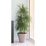 Pot de fleurs - RIVIERA - Loft avec réserve d'eau - Rond - Ø59 x H53,5 - 83L - Taupe