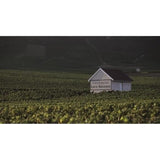 Champagne Roederer Collection avec étui