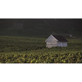 Champagne Roederer Collection avec étui