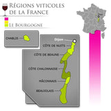 Reine Pédauque 2023 Pinot Noir - Vin rouge de Bourgogne