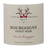 Reine Pédauque 2023 Pinot Noir - Vin rouge de Bourgogne