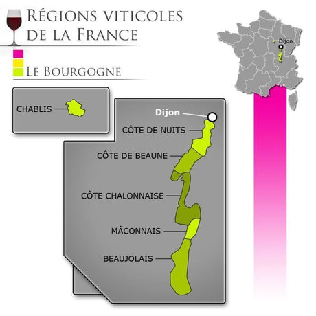 Reine Pédauque 2023 Pinot Noir - Vin rouge de Bourgogne